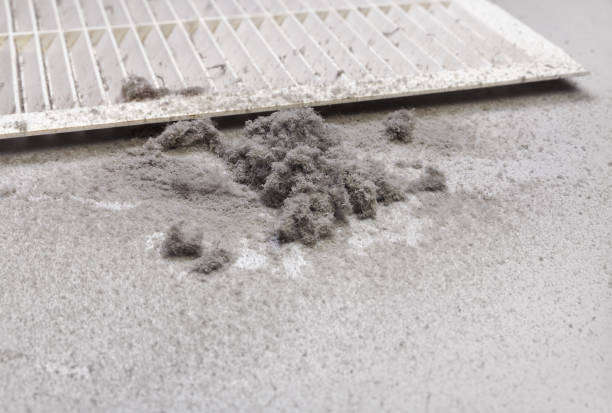 Best Best Air Duct Cleaning Company  in Lake Lakengren, OH