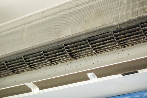 Best Professional Duct Cleaning Services  in Lake Lakengren, OH